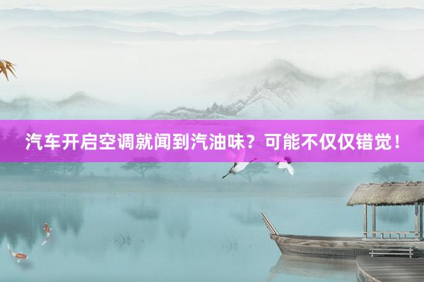 汽车开启空调就闻到汽油味？可能不仅仅错觉！